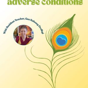 Transforming Adverse Conditions - Day Course