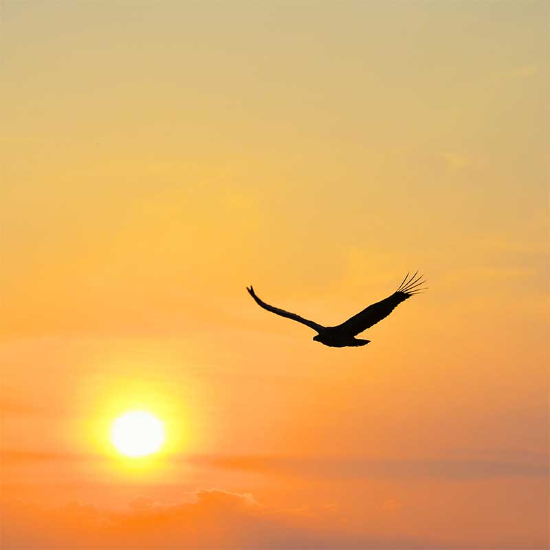 Facing A Life Altering Diagnosis: Morning Course